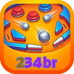 234br
